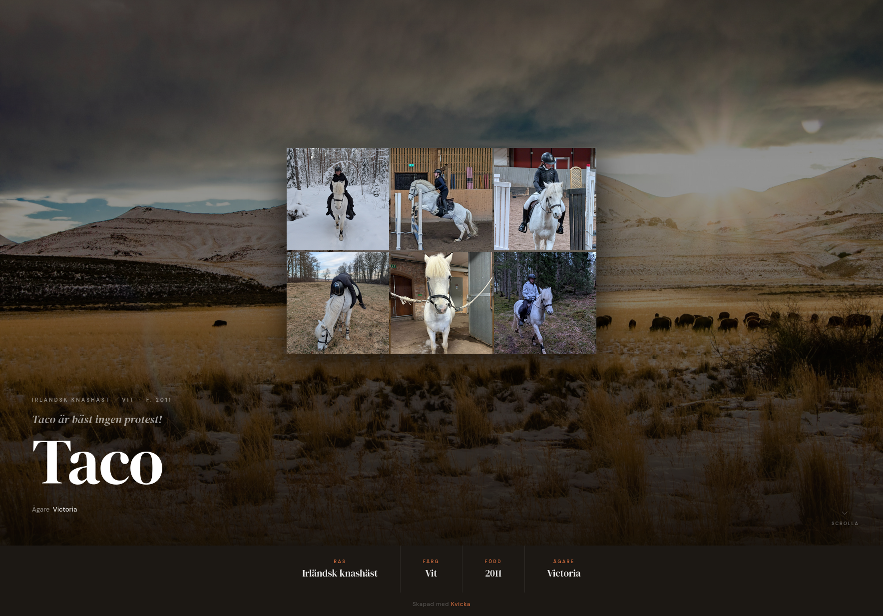 Design Screenshot
