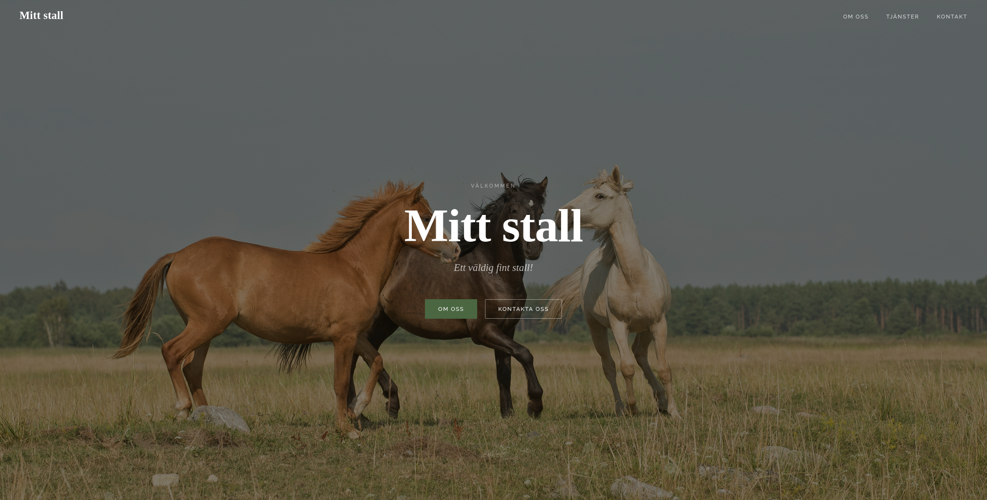 Design Screenshot